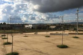 Roban 120 metros de cableado y dejan una docena de farolas fuera de servicio en Manacor