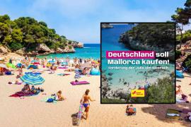 «Alemania debe comprar Mallorca»: la propuesta viral de las juventudes de un partido alemán