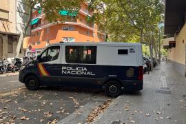 Un furgón de Policía Nacional frente a la Jefatura de Palma