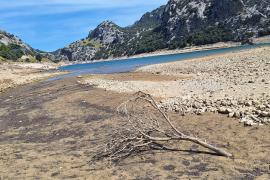 Las impactantes imágenes de los embalses que abastecen a Palma: bajan hasta el 28,25 % de su capacidad
