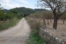 Felanitx revisa el catálogo de caminos públicos del municipio