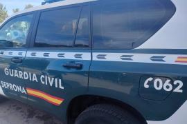 Investigan si el trabajador que transportaba a los perros fallecidos no dejó suficiente ventilación