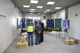 Quién es quién en la organización liderada por Stefan Milojevic y Gonzalo Márquez