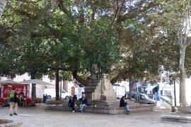 Preocupados por las obras de la Plaça del Mercat: Pequeños comerciantes temen un cierre masivo