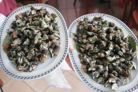 Los percebes, la pularda y las angulas se encarecen hasta un 30% en la antesala de la Navidad, según la OCU