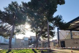 Los alrededores del polideportivo de s'Illot ha sido precintado.