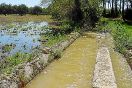 La fuente de Son Mestre Pere