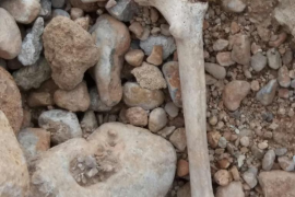 Los restos humanos fueron hallados el sábado en un descampado ubicado frente al estadio de Son Moix.