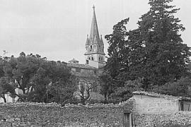 Los testigos sitúan en el Binissalem de los años 70 una 'granja de cebo de mujeres embarazadas'.