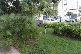 Defecaciones en jardines publicos