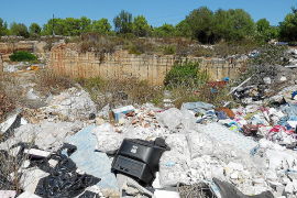 Todo tipo de basuras se amontonan al lado de la carretera de Manacor en Palma.