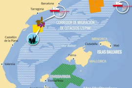 Sant Josep propone una Declaración de impacto ambiental negativa del MedSalt-2