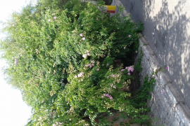 Acera intransitables Bahía Azul