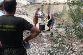Denunciados por cocinar en Cala Figuera