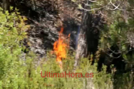 Tareas de extinción del incendio en Son Caliu