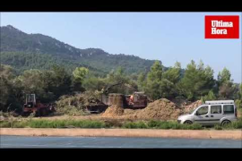 Biomasa, cuando el desastre propicia otras oportunidades