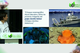 Aniol Esteban: «Invertir en la conservación del mar sale a cuenta»