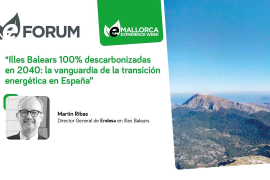 Ponencia Martin Ribas