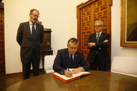 Andalucía aprueba el martes iniciar los trámites para presentar el recurso de inconstitucionalidad a la Ley...