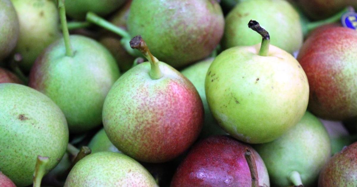 Antes en Mallorca se comía esto la noche de San Juan: el plato ...