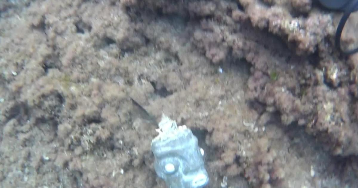 El misterioso hallazgo de un buceador a pocos metros de la costa de Palma