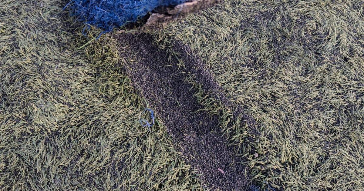 El histórico CD Binissalem obligado a ‘exiliarse’ a Alaró