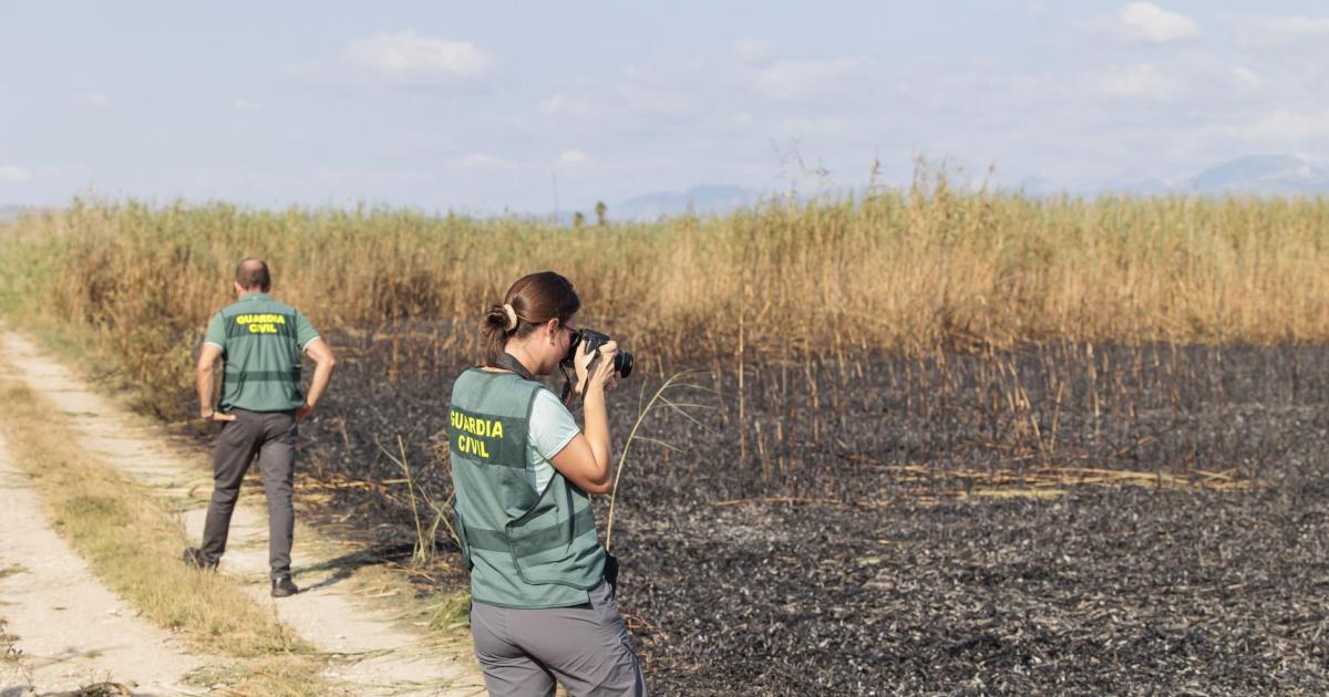 Buscan a un joven que conducía un coche blanco como sospechoso del incendio de s'Albufera