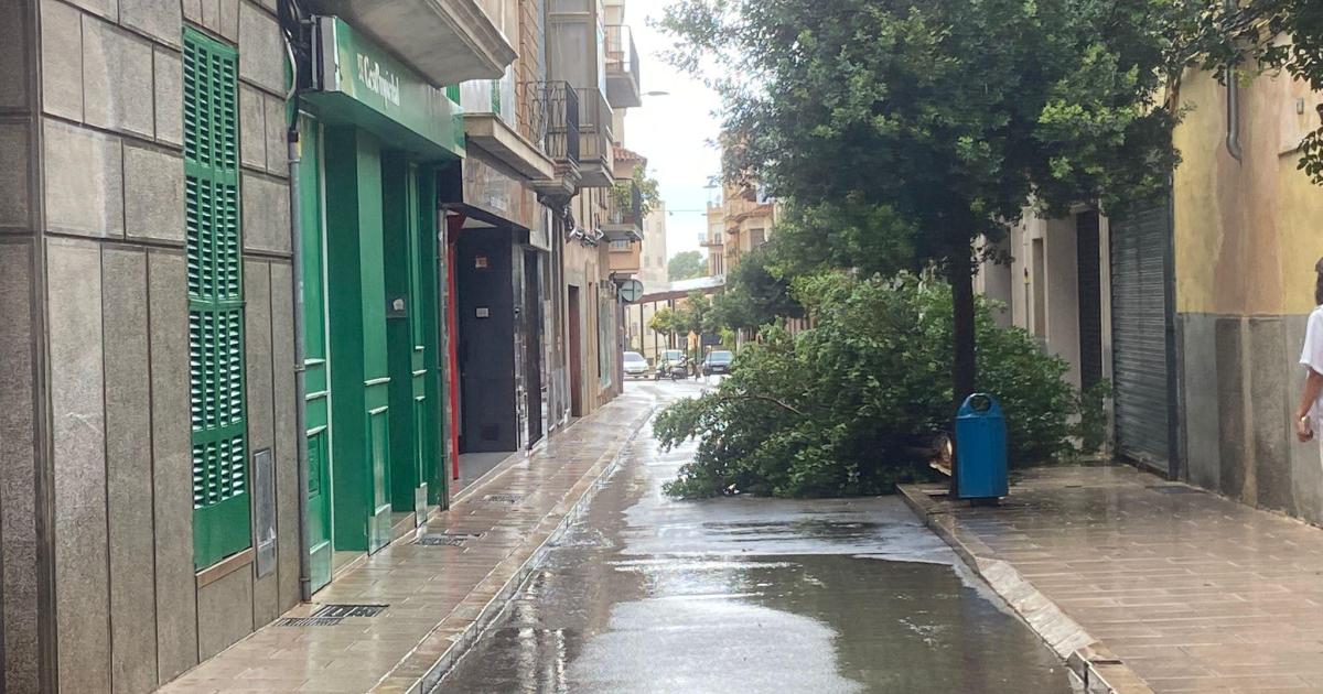 Las intensas lluvias en Mallorca provocan incidentes en Manacor