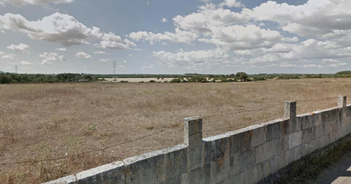 Energia avala construir un gran parque solar con 25.000 placas solares en Santa Margalida