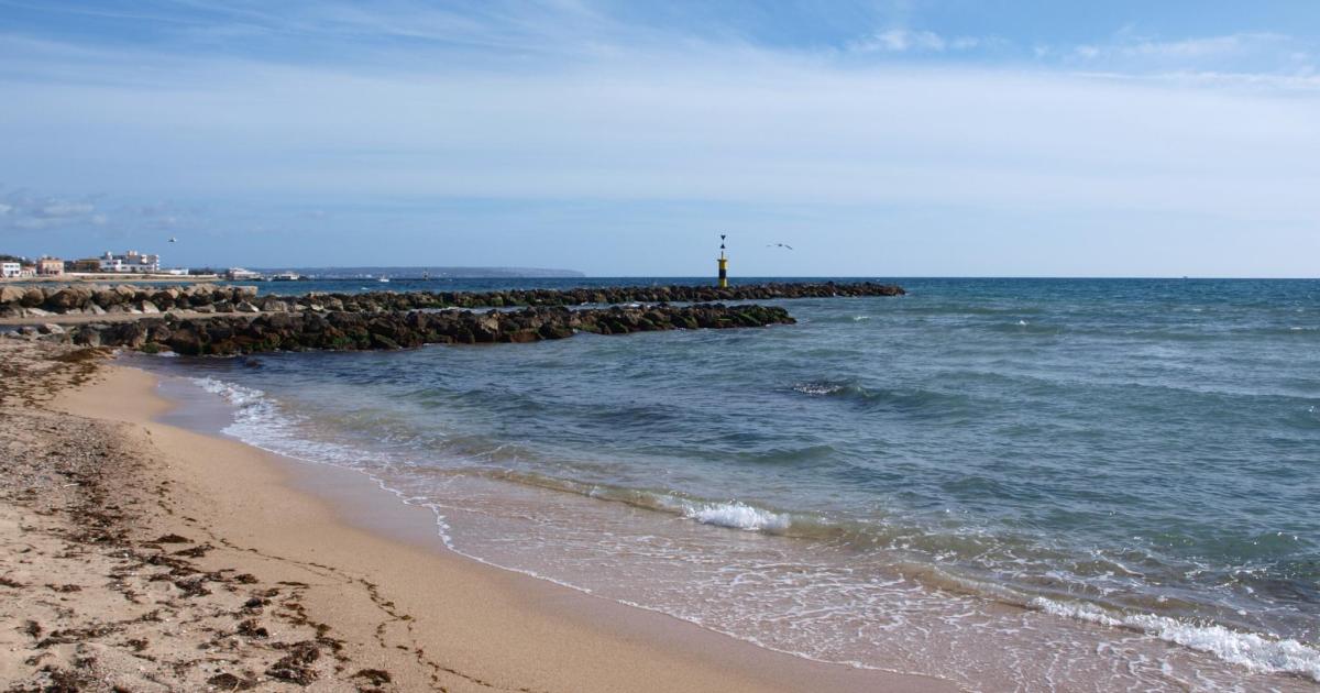 Estefanía, turista en la playa de Ciudad Jardín: «No es de las mejores aguas de Mallorca pero se está bien»