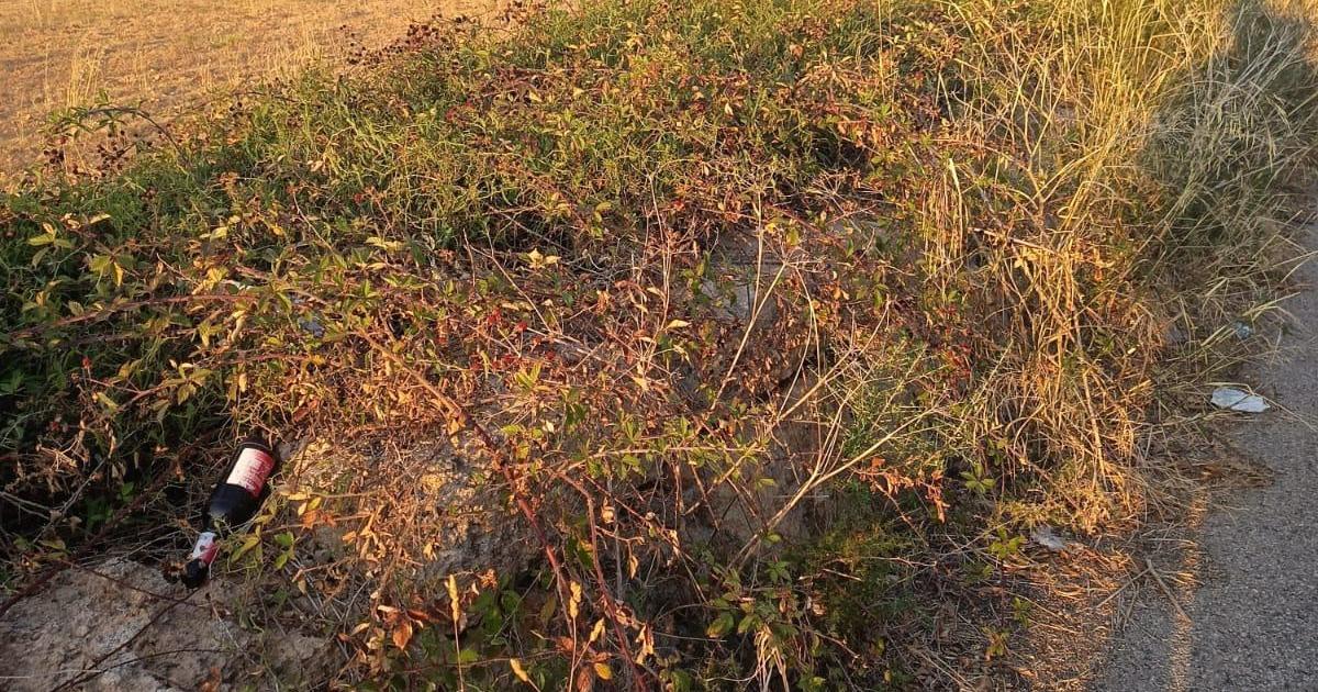 Quejas vecinales por la «vegetación descontrolada» en los caminos rurales