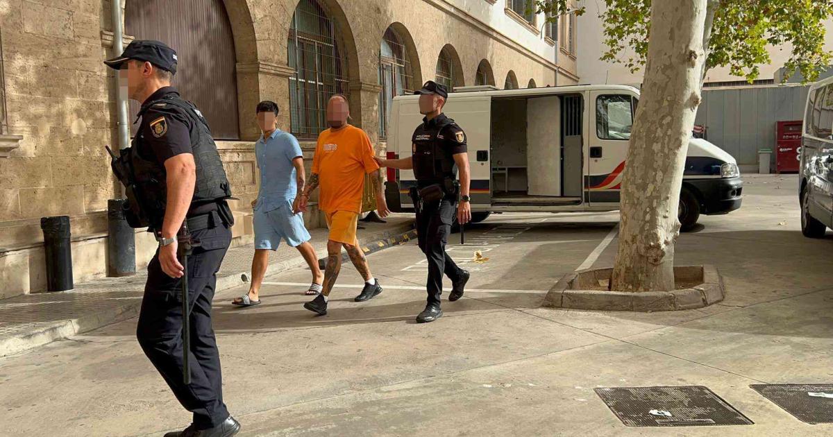 Cinco detenidos por usar una asociación cannábica como tapadera para vender droga a turistas