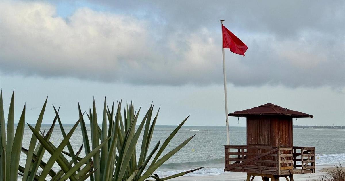 Cádiz iza la bandera roja en las playas de Cortadura y Santa María y El Puerto la de medusas en Valdelagrana