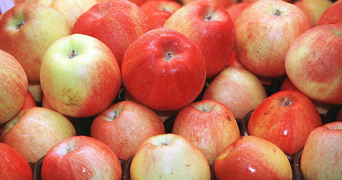 El fruto prohibido que equilibra la glucosa, sacia sin engordar y protege el corazón: el imprescindible del otoño que nunca pasa de moda