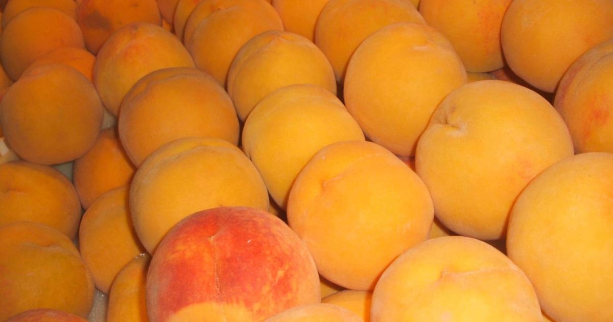 La fruta aterciopelada de temporada que protege tu piel, cuida tu hígado y combate la retención de líquidos