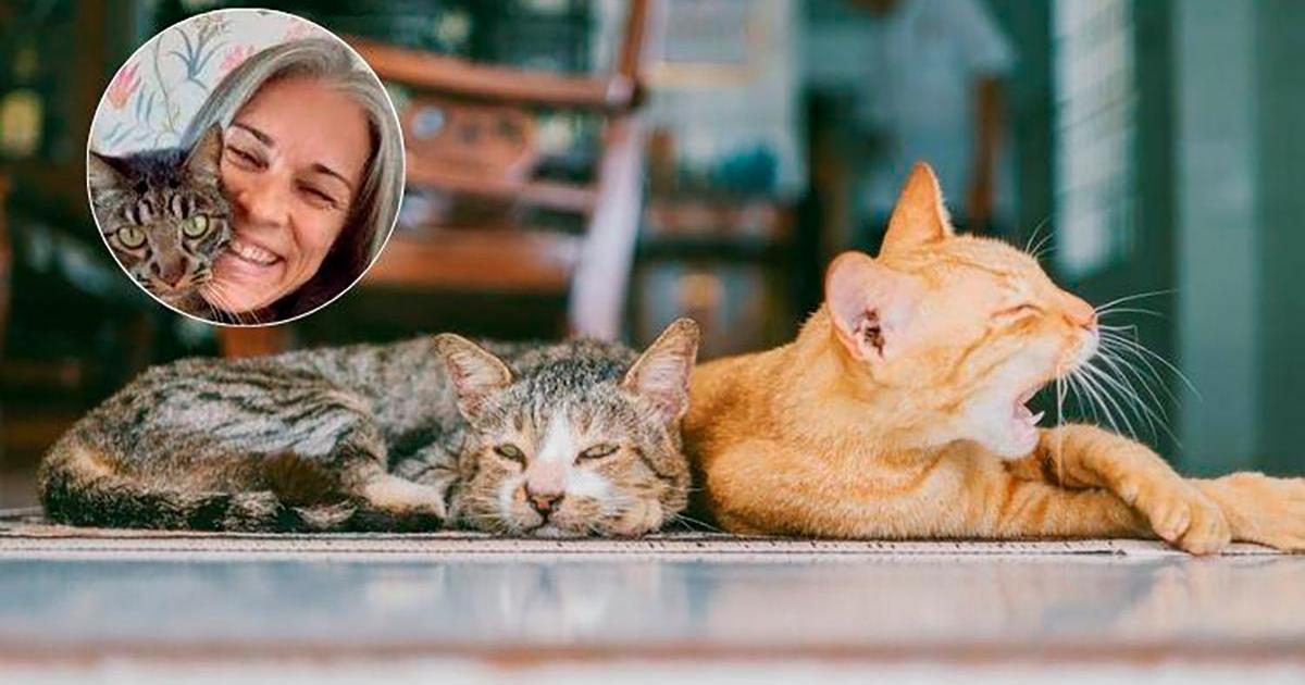Ana Castel, experta bienestar felino: «Ningún ser vivo está diseñado para vivir a base de comida deshidratada»