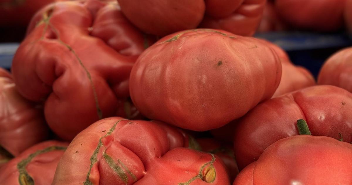 El rey rojo que cuida tu corazón y embellece tu piel: es el aliado imprescindible de la dieta mediterránea y no puede faltar en la mesa