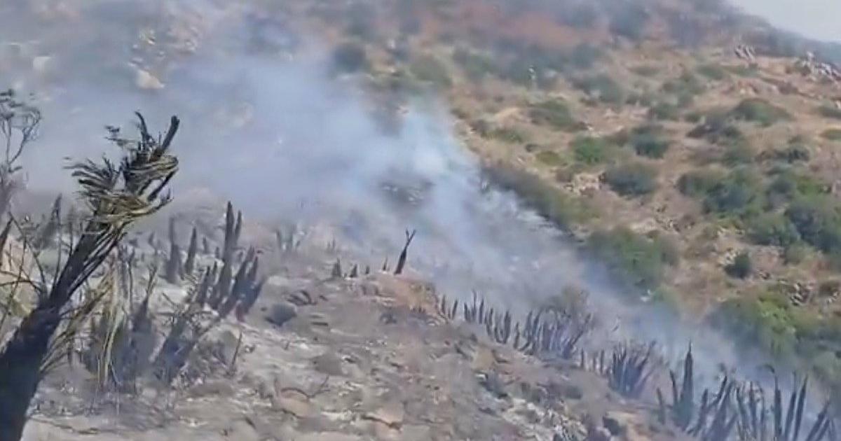 Rachas de 30 kilómetros por hora avivan el incendio de Lubrín (Almería): "No está poniendo fácil la extinción"