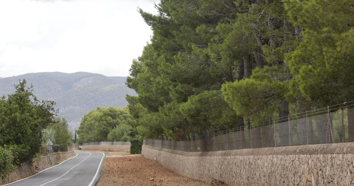 La ley de liberalización permite hacer más de 1.300 casas en zonas con riesgo de incendio