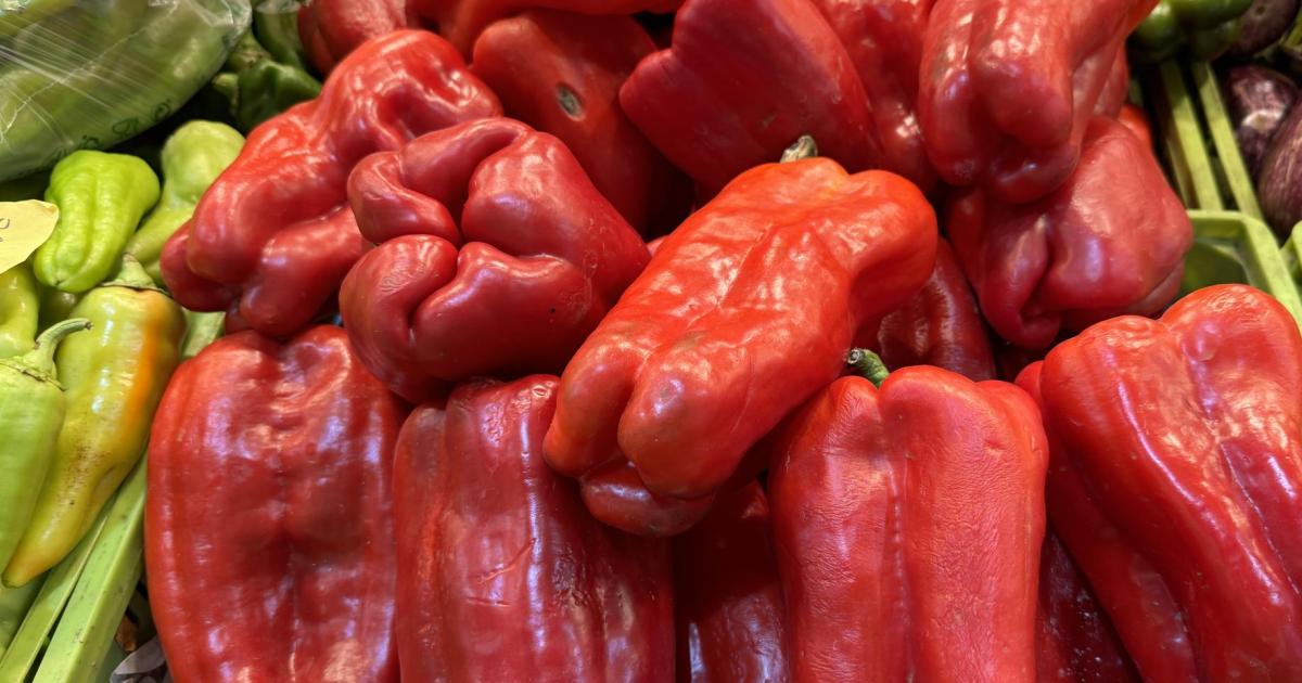 El colorido vegetal que refuerza tus defensas, mejora la circulación y da sabor al final del verano