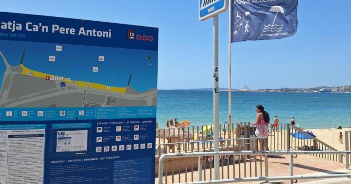 Aparece un tiburón muerto de considerable tamaño en Mallorca