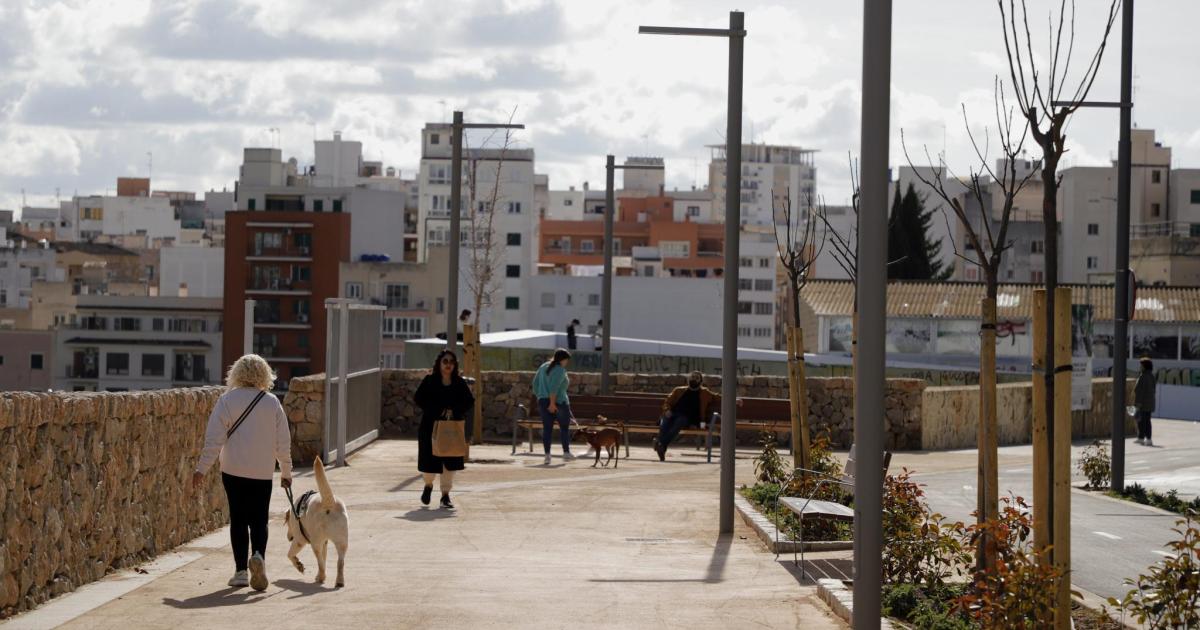 La zona de Palma donde se venden pisos de 90 m2 por 395.000 euros: con colegios, gimnasios y bien comunicada