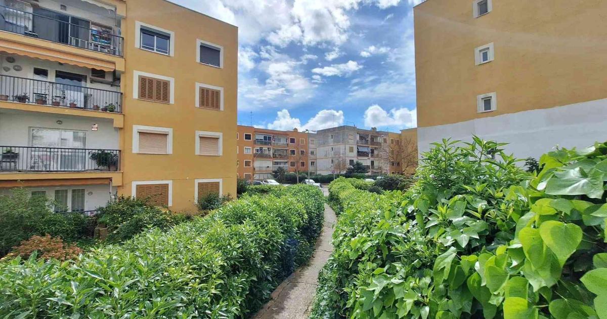 La zona de Palma donde se venden pisos de 90 m2 por 376.000 euros: dos barrios con historia y una amplia oferta educativa