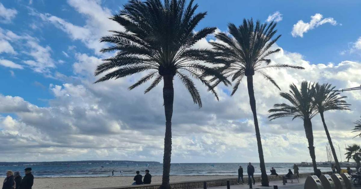La zona de Palma donde se venden pisos de 90 m2 por 396.500 euros: al lado del mar y bien conectada