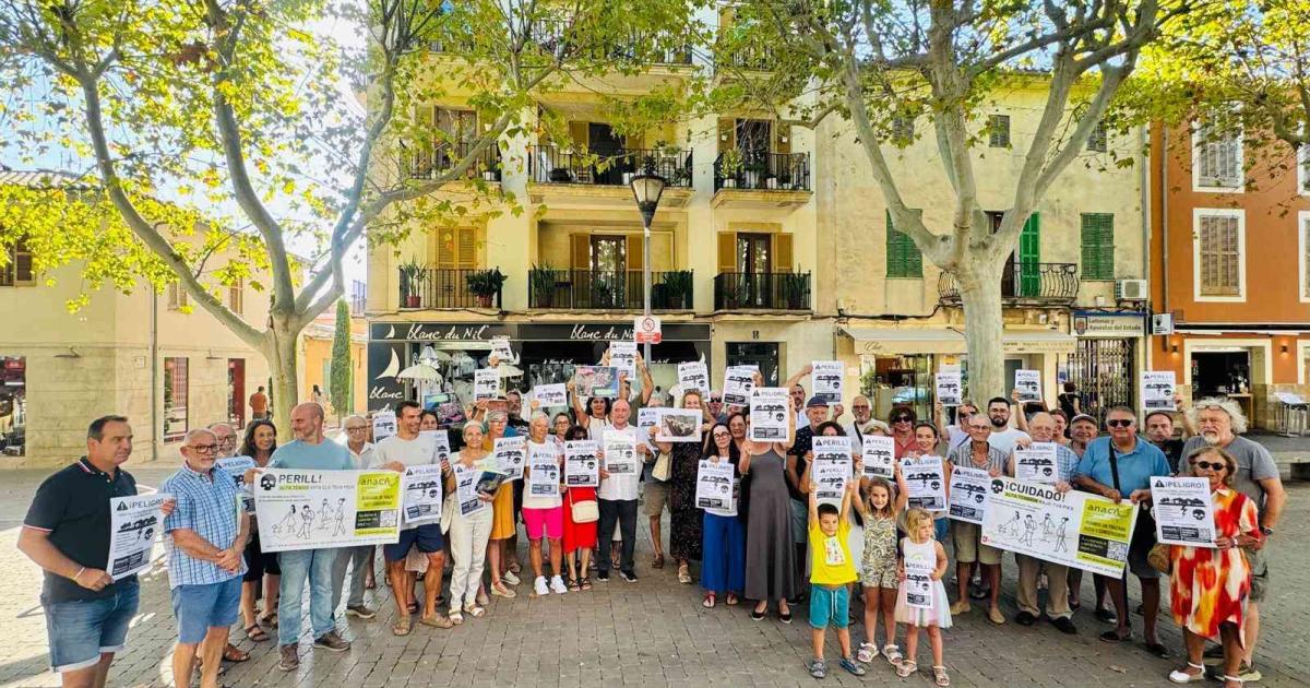 Vecinos de Alcúdia exigen renegociar el trazado del cable eléctrico