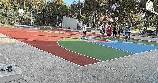 Basket en Sa Fertilitzadora |Tapas de mondongo | El Teléfono de la Esperanza