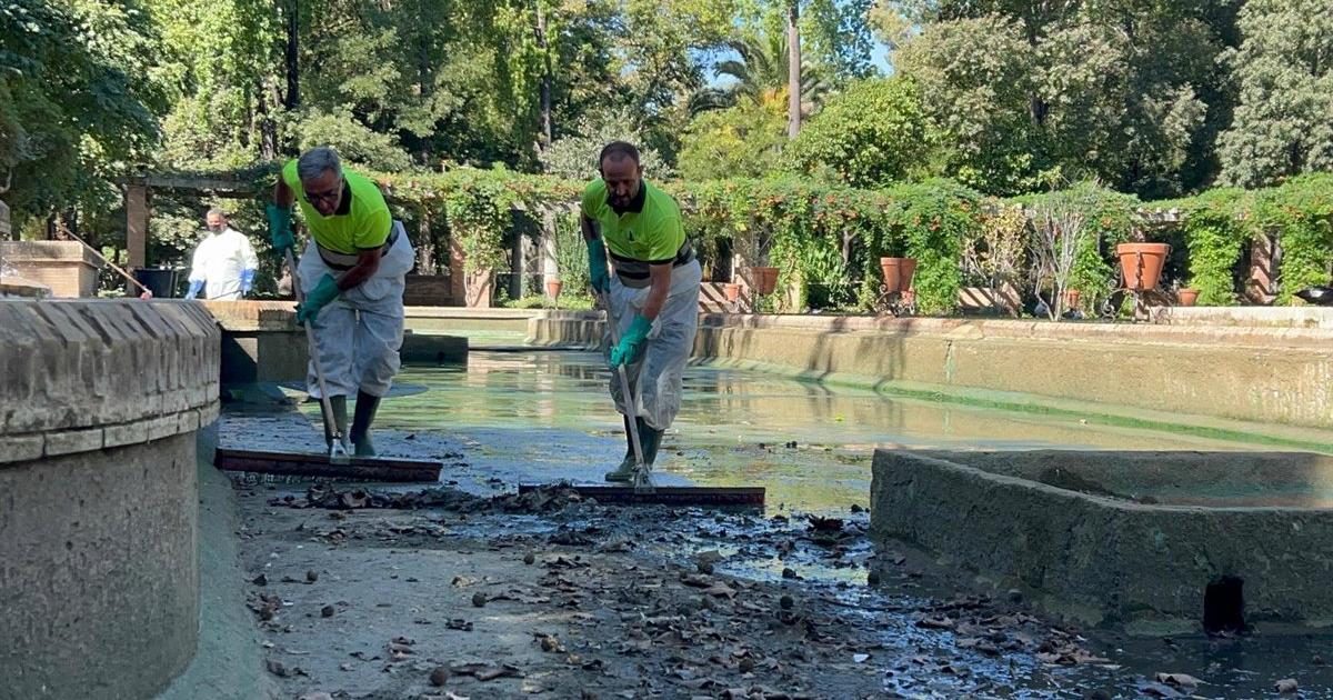 Cierre preventivo en Sevilla de los jardines del Real Alcázar y el parque de Miraflores tras aparecer aves muertas