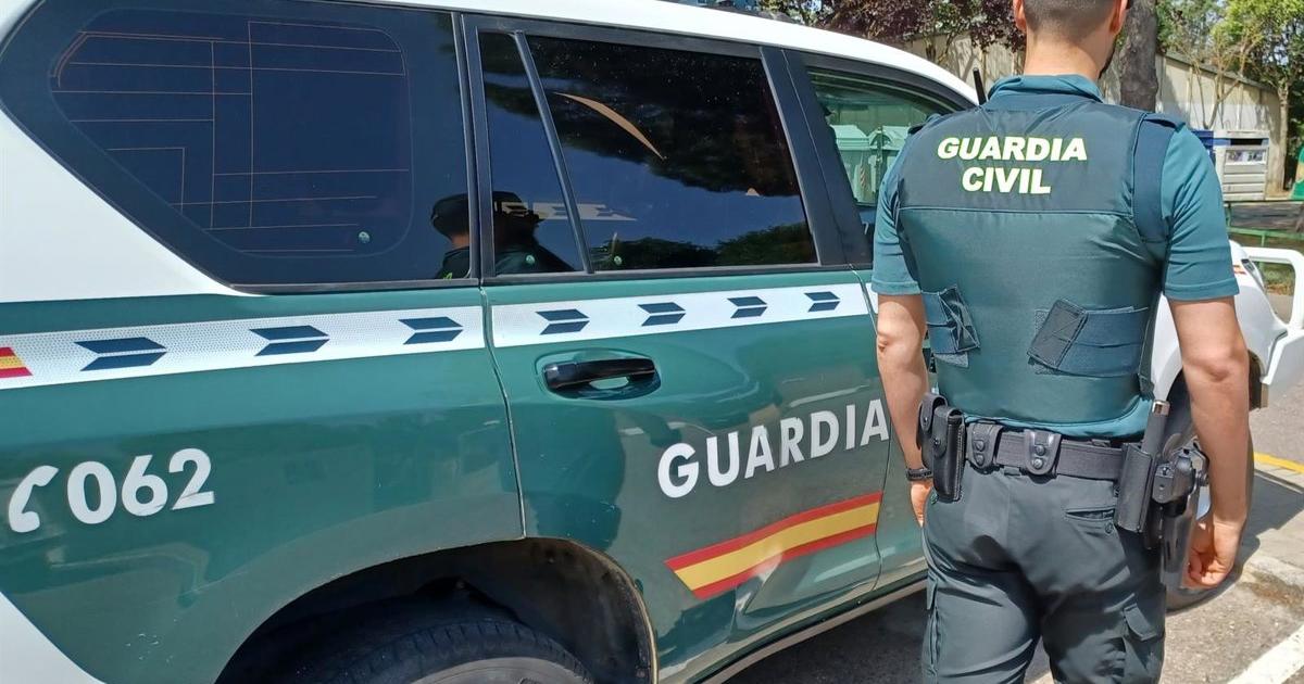 Investigado por maltrato animal tras la muerte de su perro por falta de cuidado en Moclín (Granada)