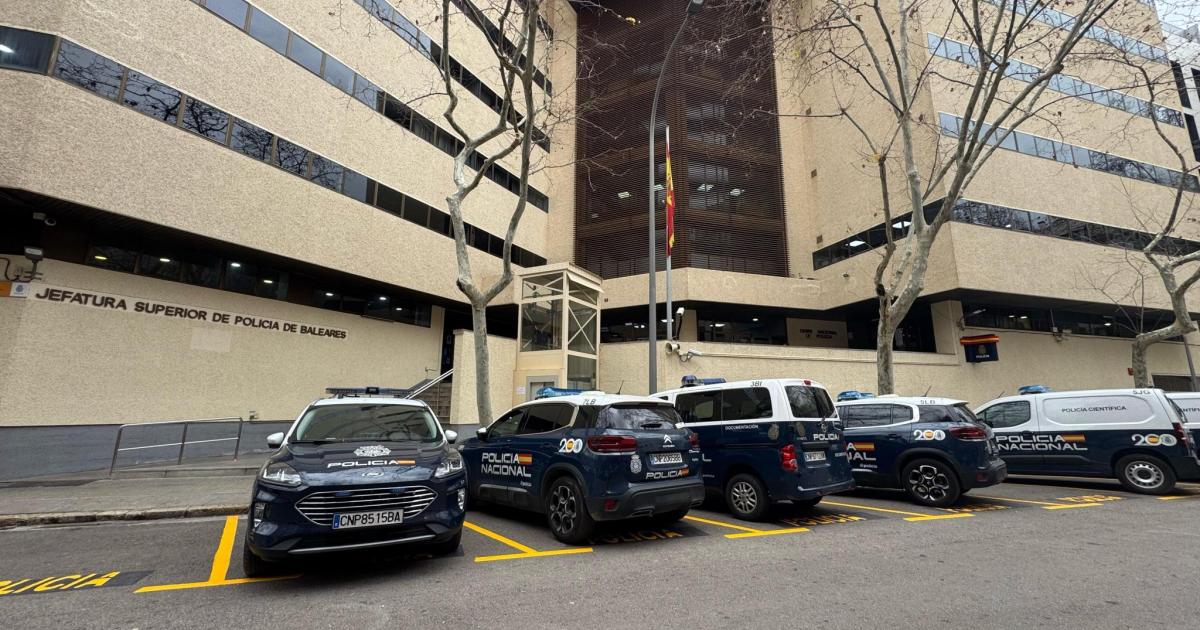 Varios locales denuncian a una tienda de segunda mano de Palma por robar libros y venderlos