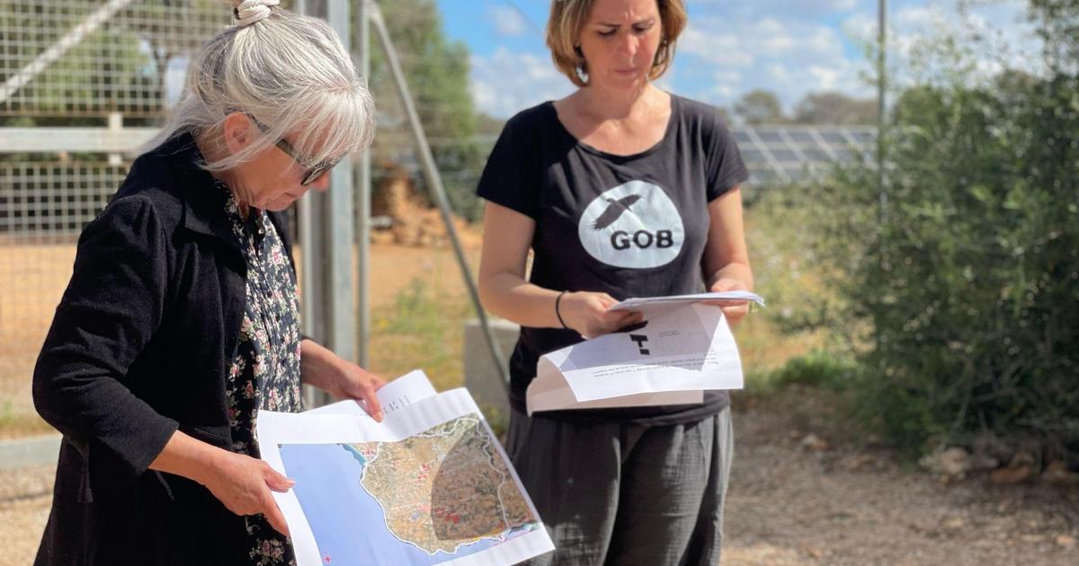 El GOB se muestra escéptico ante la moratoria del Govern sobre los parques fotovoltaicos